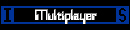 Multiplayer